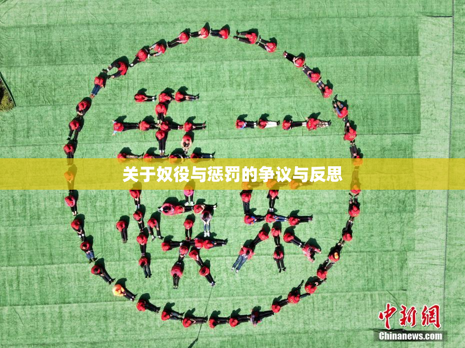 关于奴役与惩罚的争议与反思
