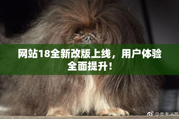 网站18全新改版上线，用户体验全面提升！