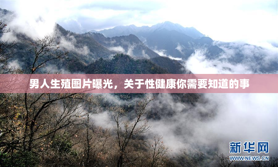 男人生殖图片曝光，关于性健康你需要知道的事
