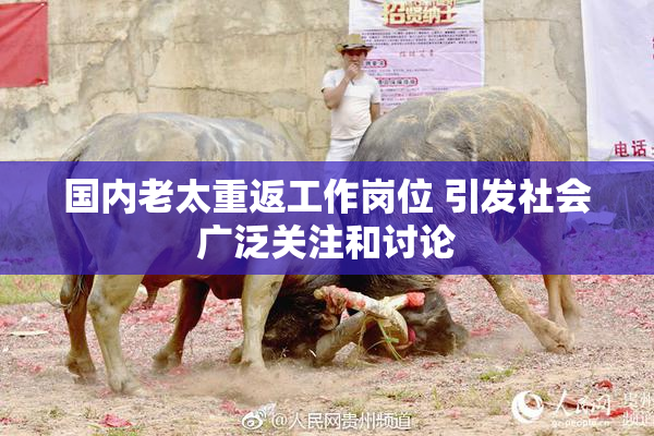 国内老太重返工作岗位 引发社会广泛关注和讨论