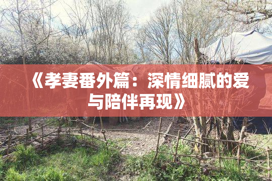 《孝妻番外篇：深情细腻的爱与陪伴再现》