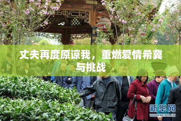 丈夫再度原谅我，重燃爱情希冀与挑战