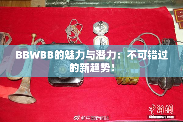 BBWBB的魅力与潜力：不可错过的新趋势！