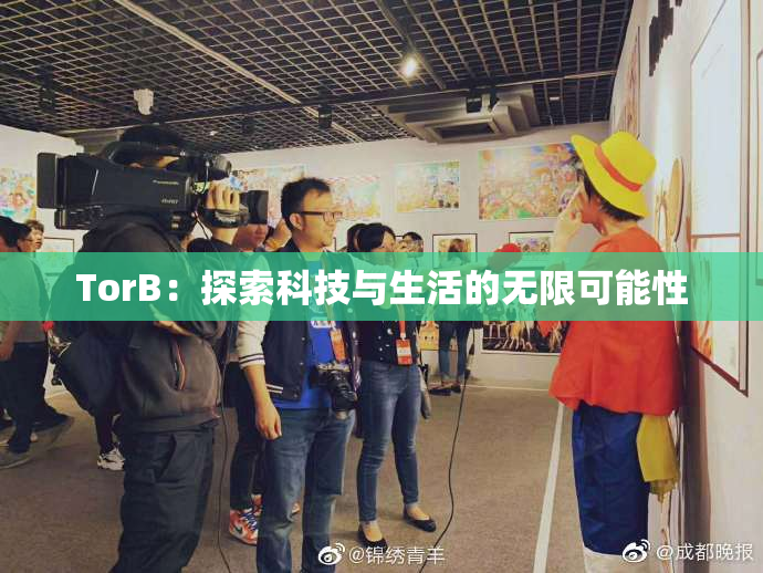TorB：探索科技与生活的无限可能性