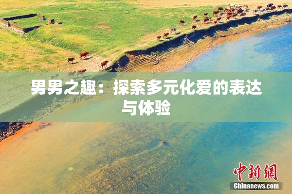 男男之趣：探索多元化爱的表达与体验