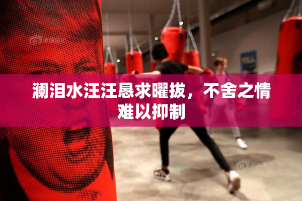 澜泪水汪汪恳求曜拔，不舍之情难以抑制