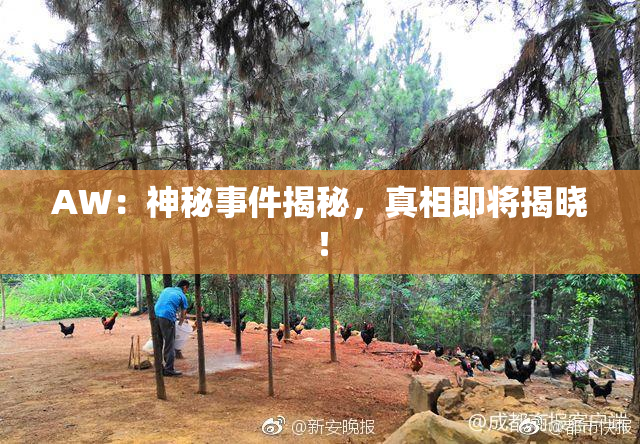 AW：神秘事件揭秘，真相即将揭晓！
