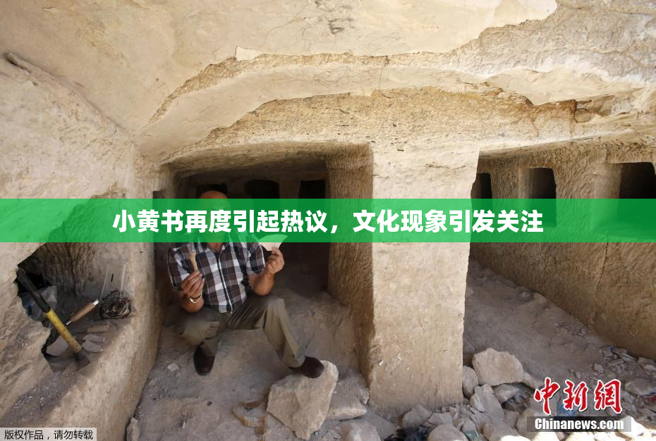 小黄书再度引起热议，文化现象引发关注