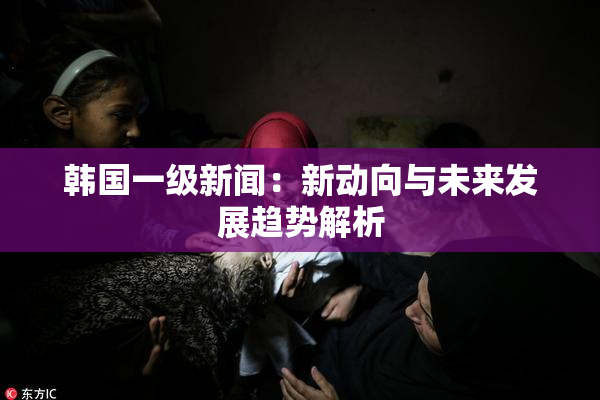 韩国一级新闻：新动向与未来发展趋势解析
