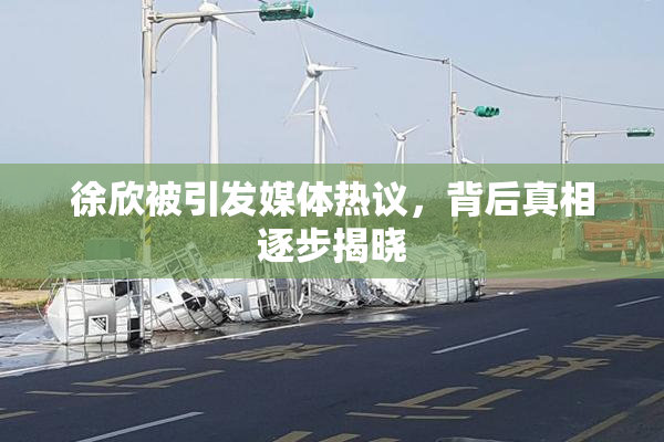 徐欣被引发媒体热议，背后真相逐步揭晓