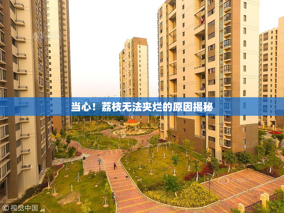 当心！荔枝无法夹烂的原因揭秘