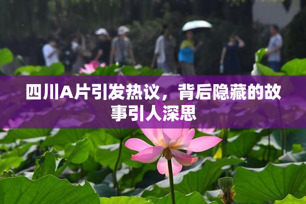 四川A片引发热议，背后隐藏的故事引人深思