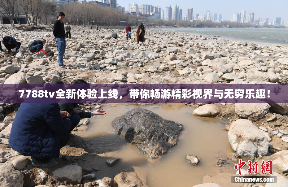 7788tv全新体验上线，带你畅游精彩视界与无穷乐趣！