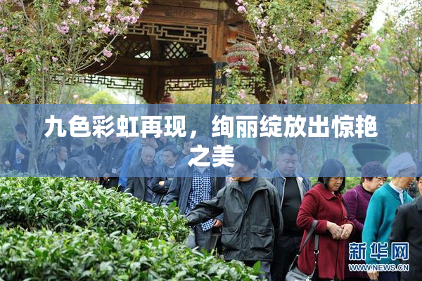 九色彩虹再现，绚丽绽放出惊艳之美