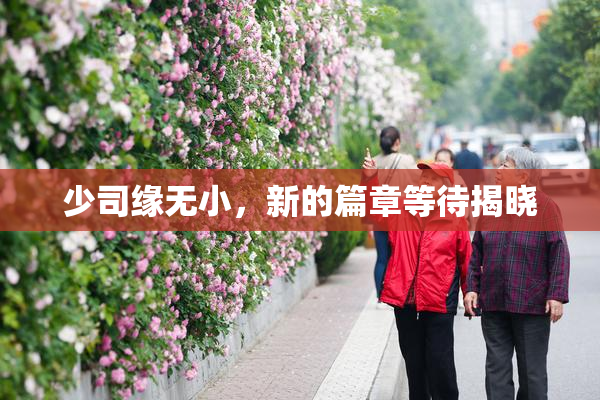 少司缘无小，新的篇章等待揭晓