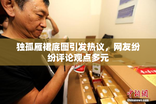 独孤雁裙底图引发热议，网友纷纷评论观点多元