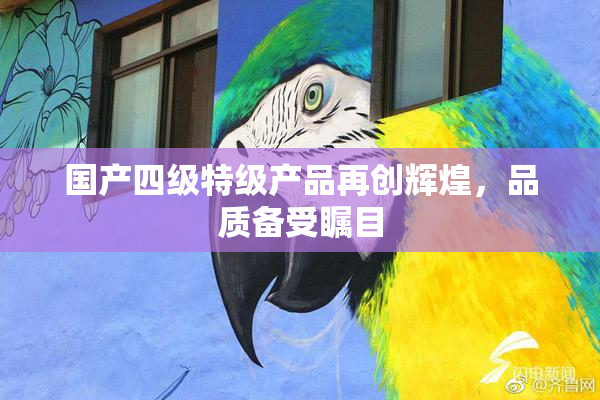 国产四级特级产品再创辉煌，品质备受瞩目