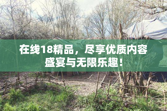 在线18精品，尽享优质内容盛宴与无限乐趣！