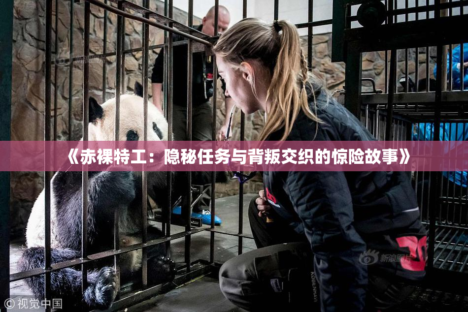 《赤裸特工：隐秘任务与背叛交织的惊险故事》