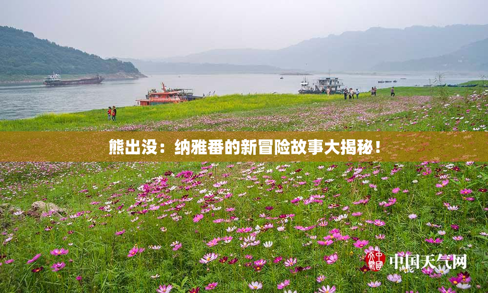 熊出没：纳雅番的新冒险故事大揭秘！