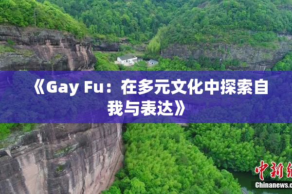 《Gay Fu：在多元文化中探索自我与表达》