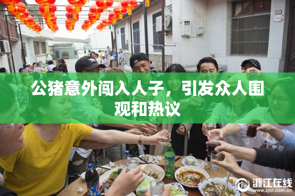 公猪意外闯入人子，引发众人围观和热议