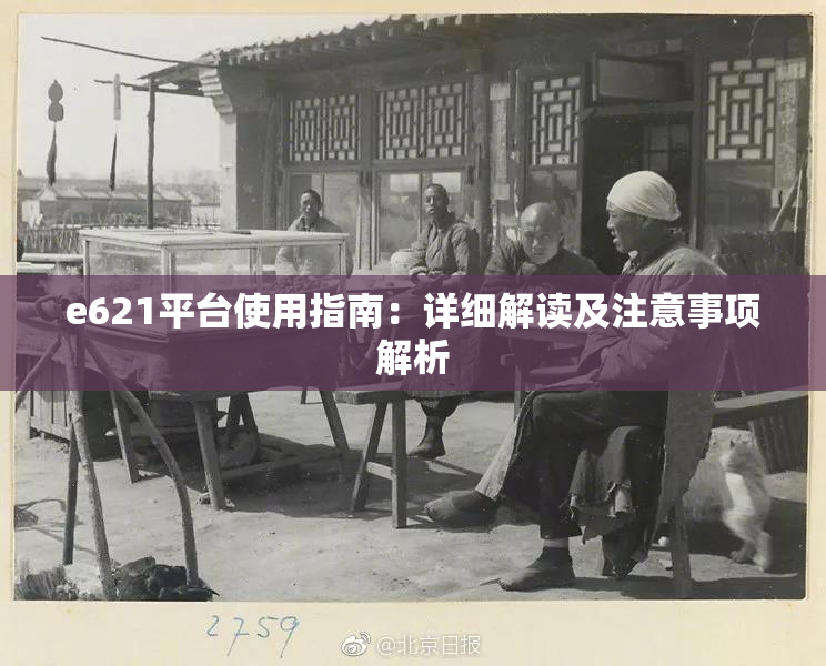 e621平台使用指南：详细解读及注意事项解析