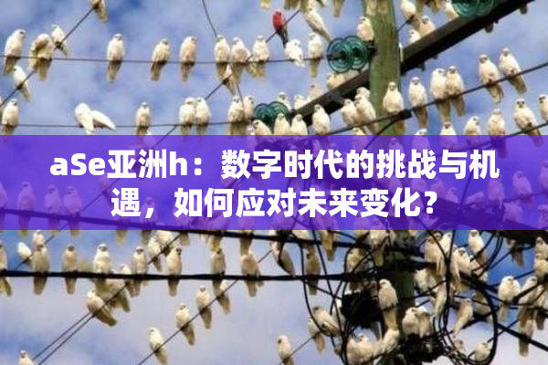 aSe亚洲h：数字时代的挑战与机遇，如何应对未来变化？
