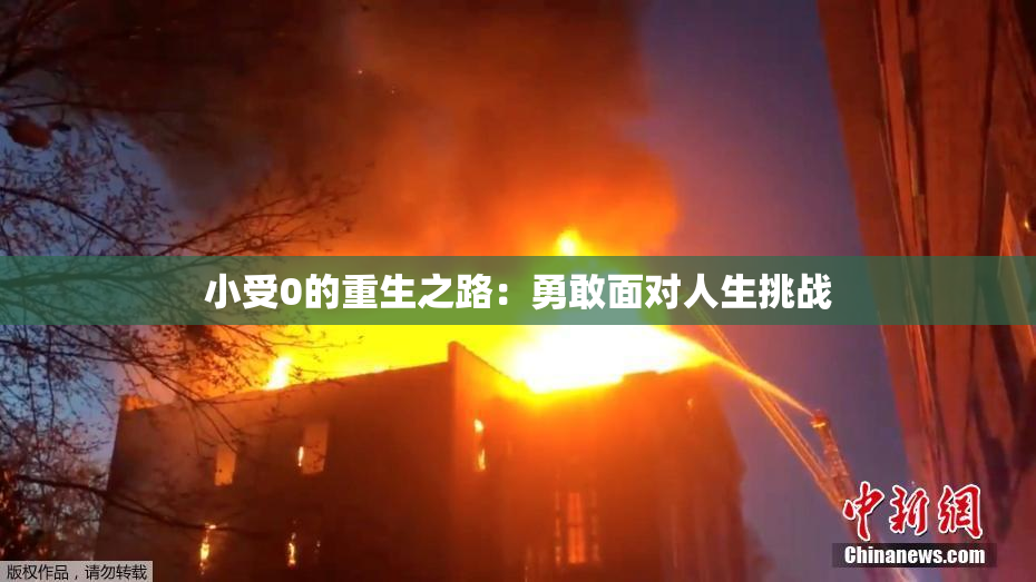 小受0的重生之路：勇敢面对人生挑战
