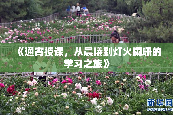 《通宵授课，从晨曦到灯火阑珊的学习之旅》