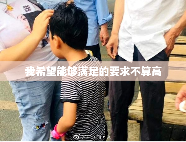 我希望能够满足的要求不算高