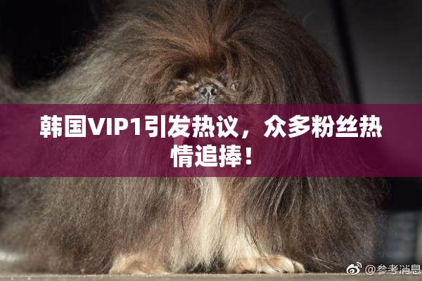 韩国VIP1引发热议，众多粉丝热情追捧！