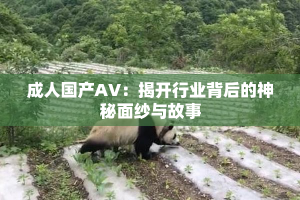成人国产AV：揭开行业背后的神秘面纱与故事