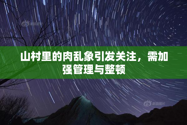 山村里的肉乱象引发关注，需加强管理与整顿