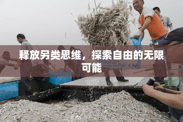 释放另类思维，探索自由的无限可能