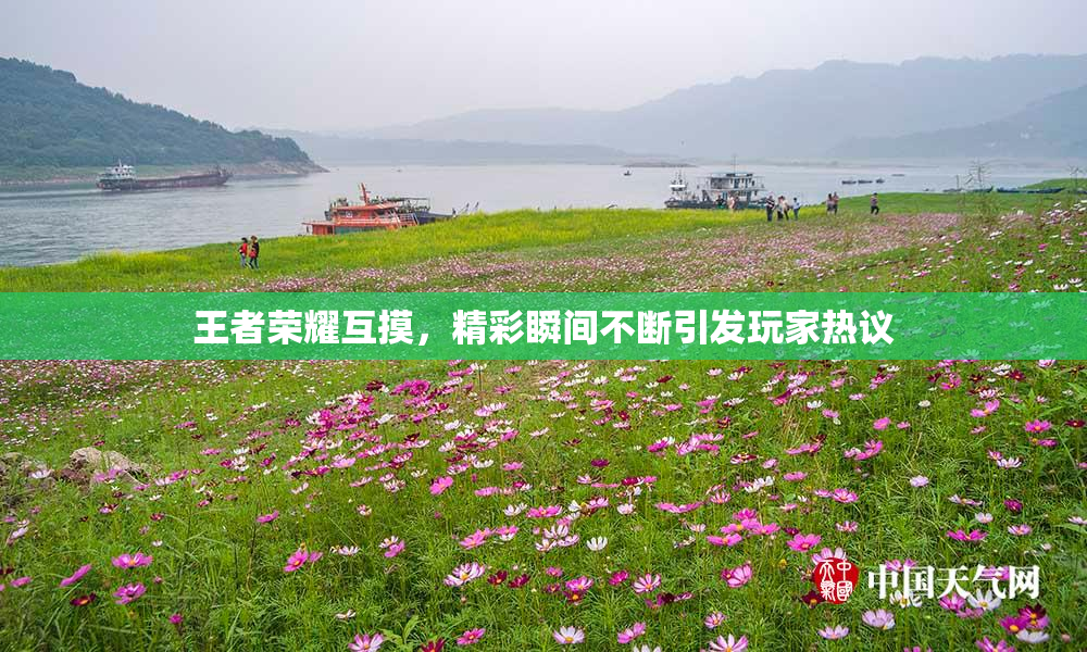 王者荣耀互摸，精彩瞬间不断引发玩家热议