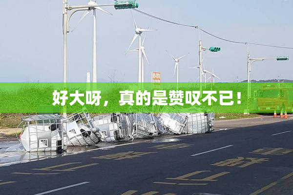 好大呀，真的是赞叹不已！
