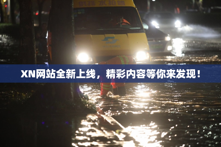 XN网站全新上线，精彩内容等你来发现！