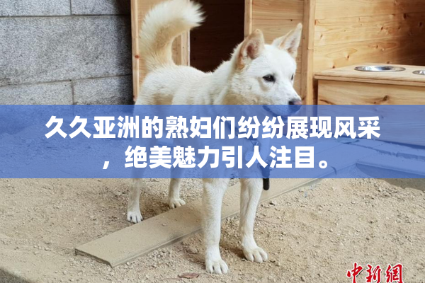 久久亚洲的熟妇们纷纷展现风采，绝美魅力引人注目。