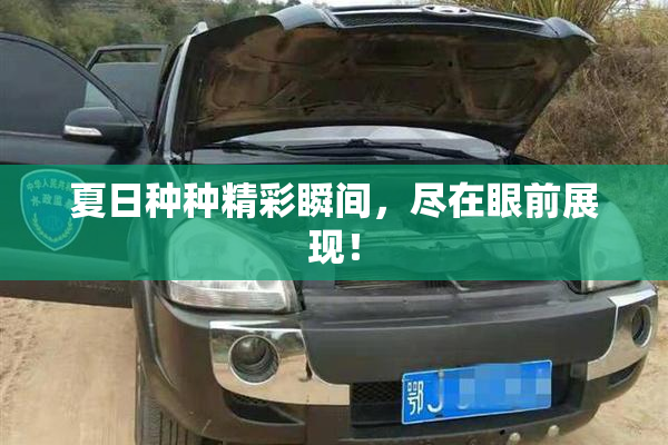 夏日种种精彩瞬间，尽在眼前展现！