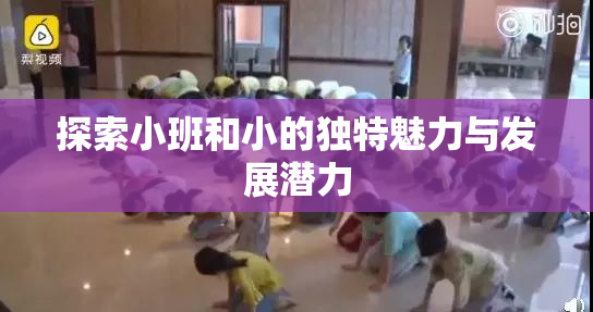 探索小班和小的独特魅力与发展潜力