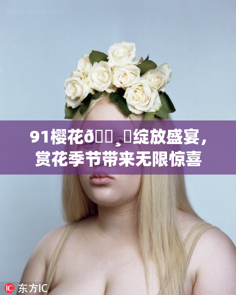 91樱花🌸‌绽放盛宴，赏花季节带来无限惊喜