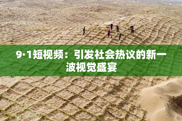 9·1短视频：引发社会热议的新一波视觉盛宴