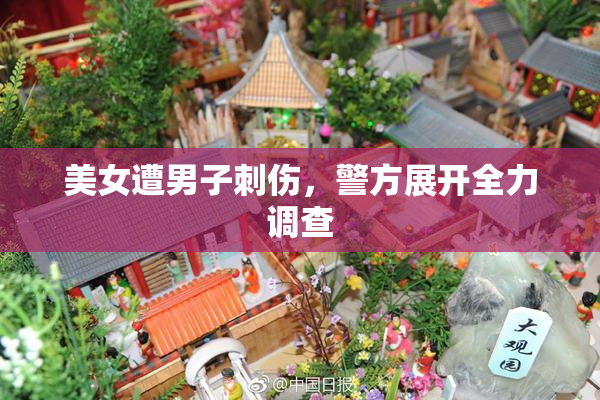 美女遭男子刺伤，警方展开全力调查