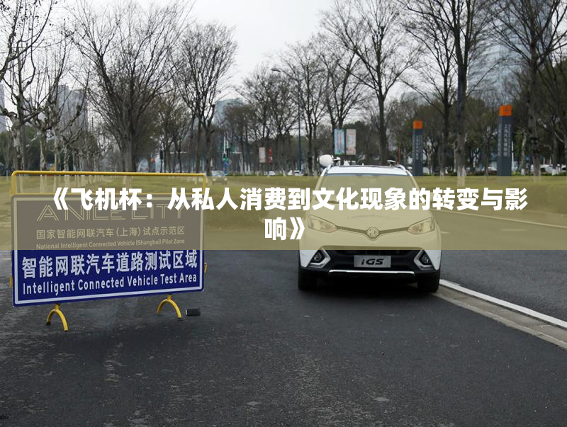 《飞机杯：从私人消费到文化现象的转变与影响》