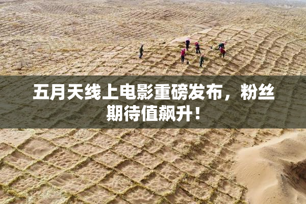 五月天线上电影重磅发布，粉丝期待值飙升！