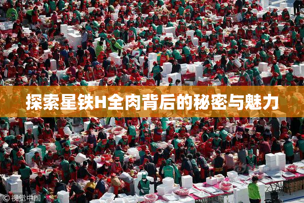 探索星铁H全肉背后的秘密与魅力