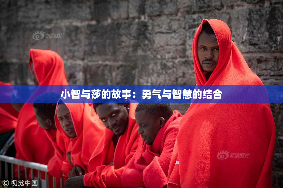 小智与莎的故事：勇气与智慧的结合