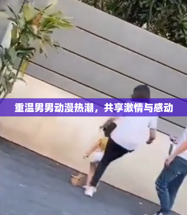 重温男男动漫热潮，共享激情与感动