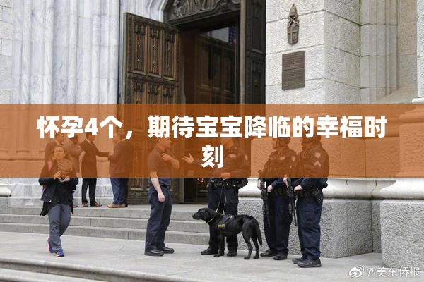 怀孕4个，期待宝宝降临的幸福时刻